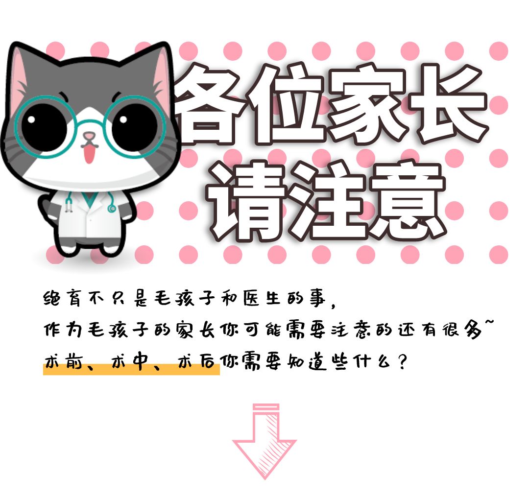 微信圖片_20200313164855.jpg