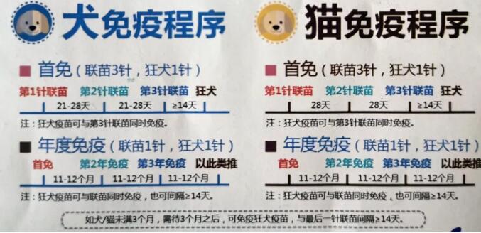 QQ截圖20200326133716.jpg