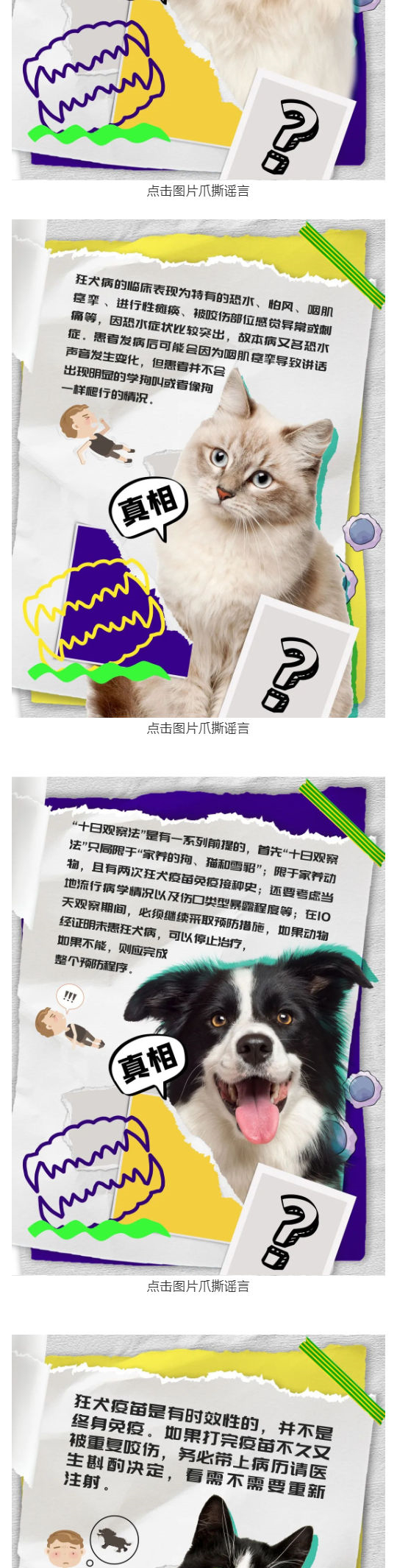 爪撕謠言_狂犬病的這些妖言妖語你也信了？_壹伴長圖3_副本.jpg