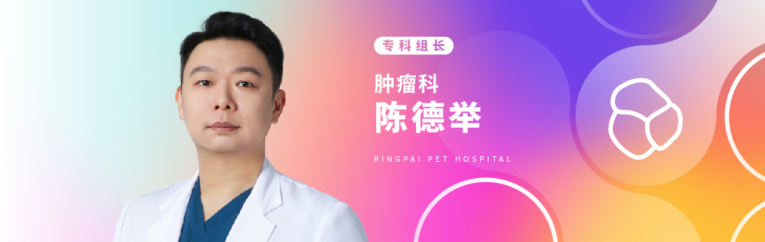 陳德舉-腫瘤科.jpg
