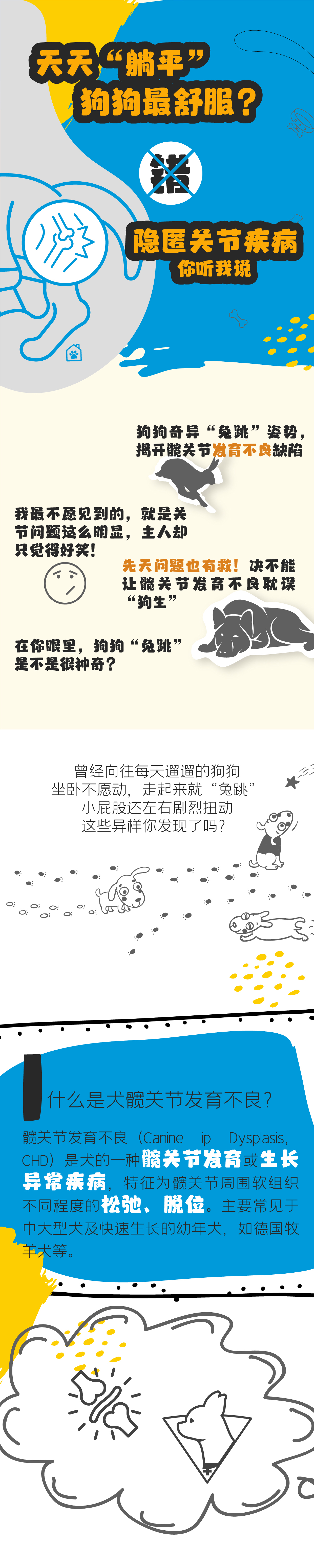 犬髖關節發育不良_1.jpg