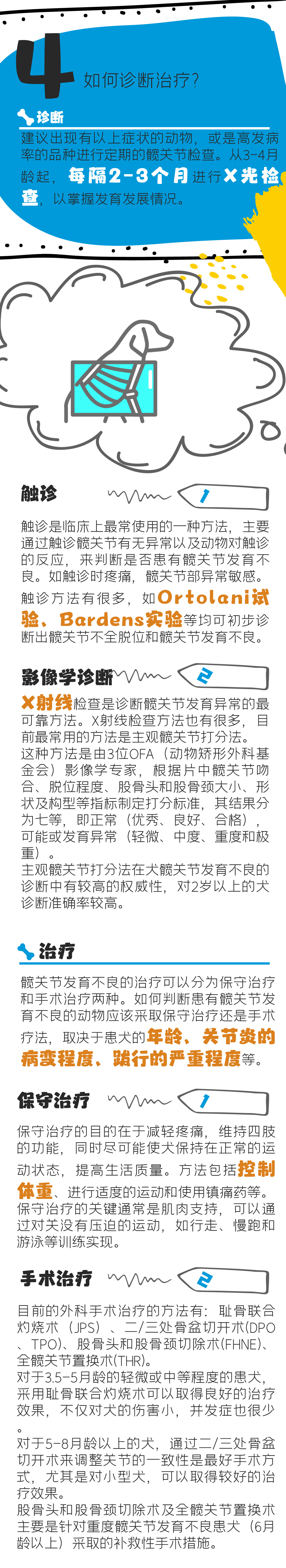 犬髖關節發育不良_3.jpg