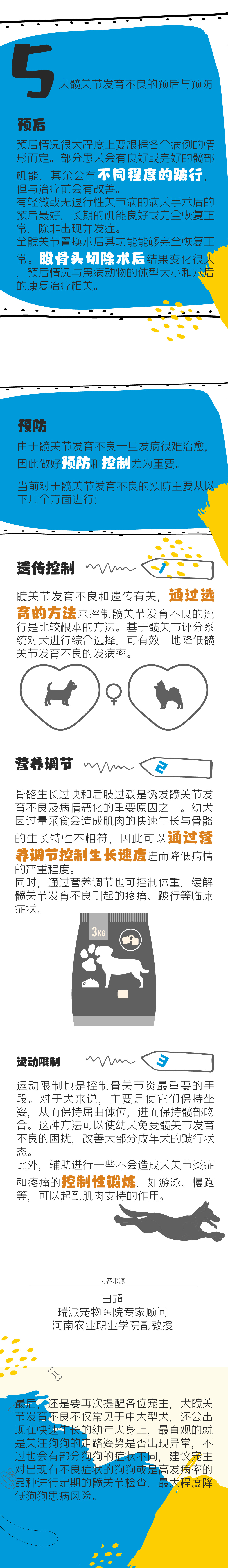 犬髖關節發育不良_4.jpg