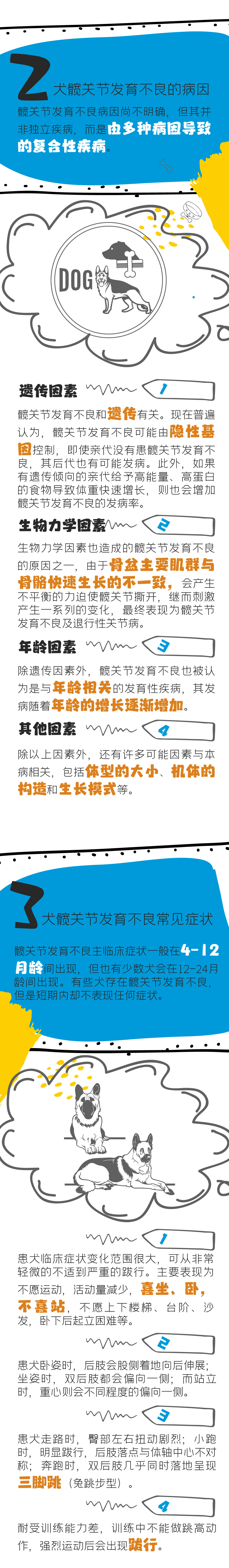 犬髖關節發育不良_2.jpg